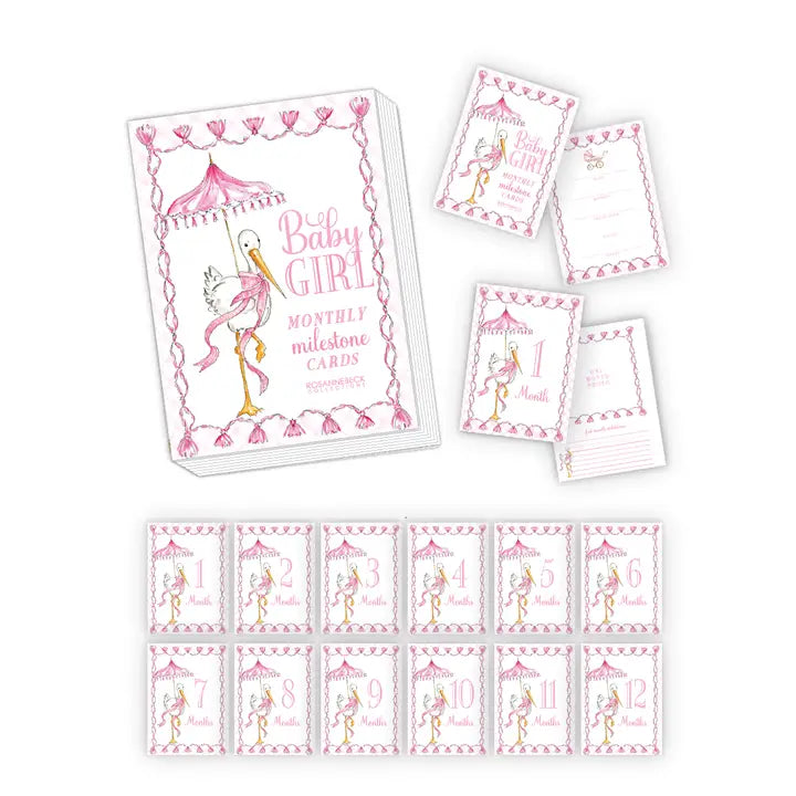 Baby Girl Stork Milestone Cards